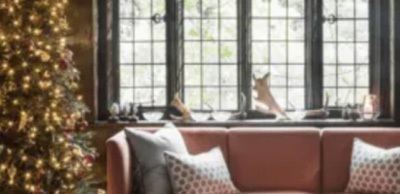 Park Slope Cleaning in the press